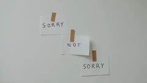 Sorry not sorry Sorry not sorry