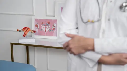 Aparato reproductor fememino Aparato reproductor fememino