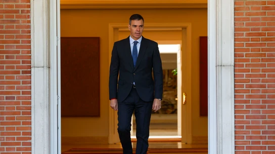 Pedro Sánchez en el Palacio de la Moncloa Pedro Sánchez en el Palacio de la Moncloa