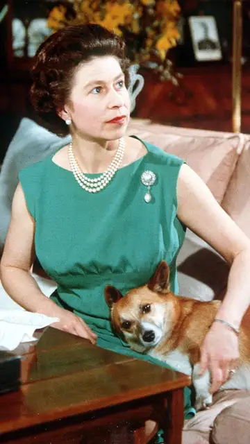 Reina Isabel II de Inglaterra durante su juventud con un Corgi Reina Isabel II de Inglaterra durante su juventud con un Corgi