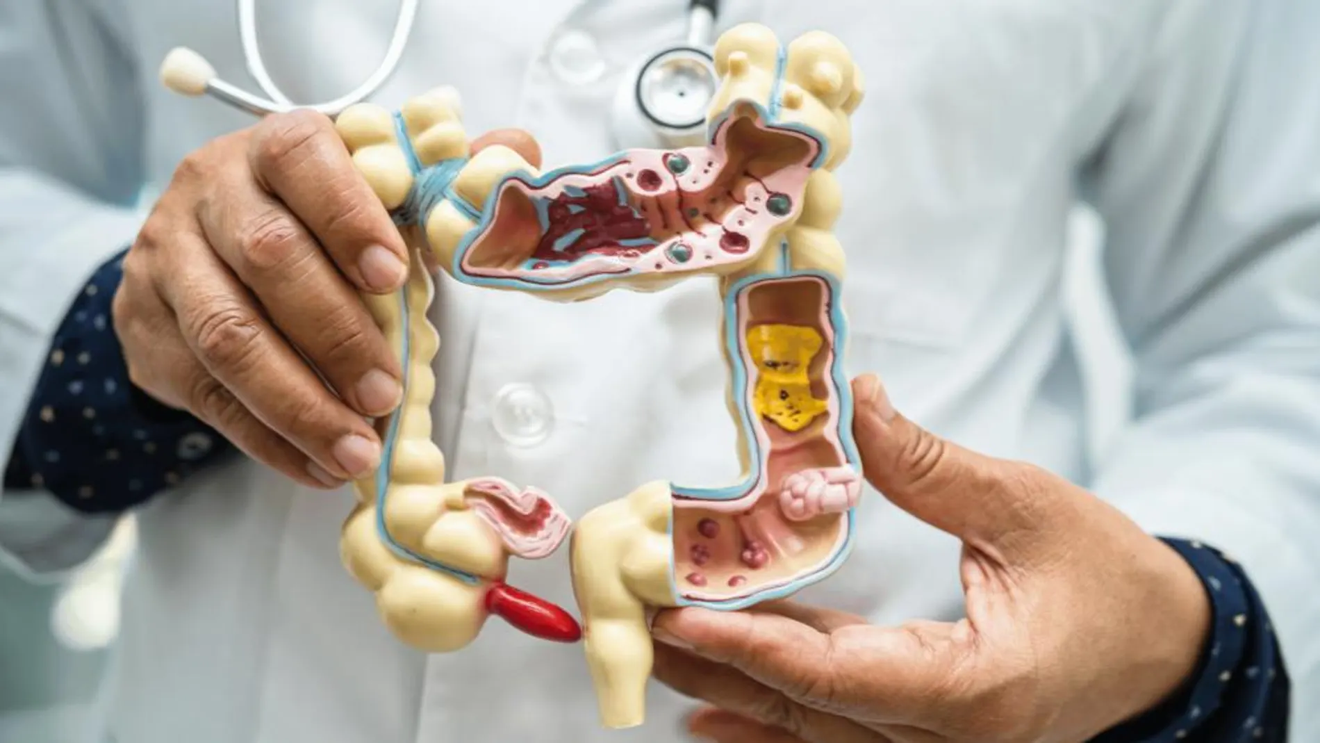 Un joven pontevedrés crea una app para gestionar enfermedades intestinales Un joven pontevedrés crea una app para gestionar enfermedades intestinales