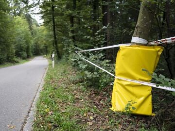 El lugar del accidente mortal de Muriel Furrer