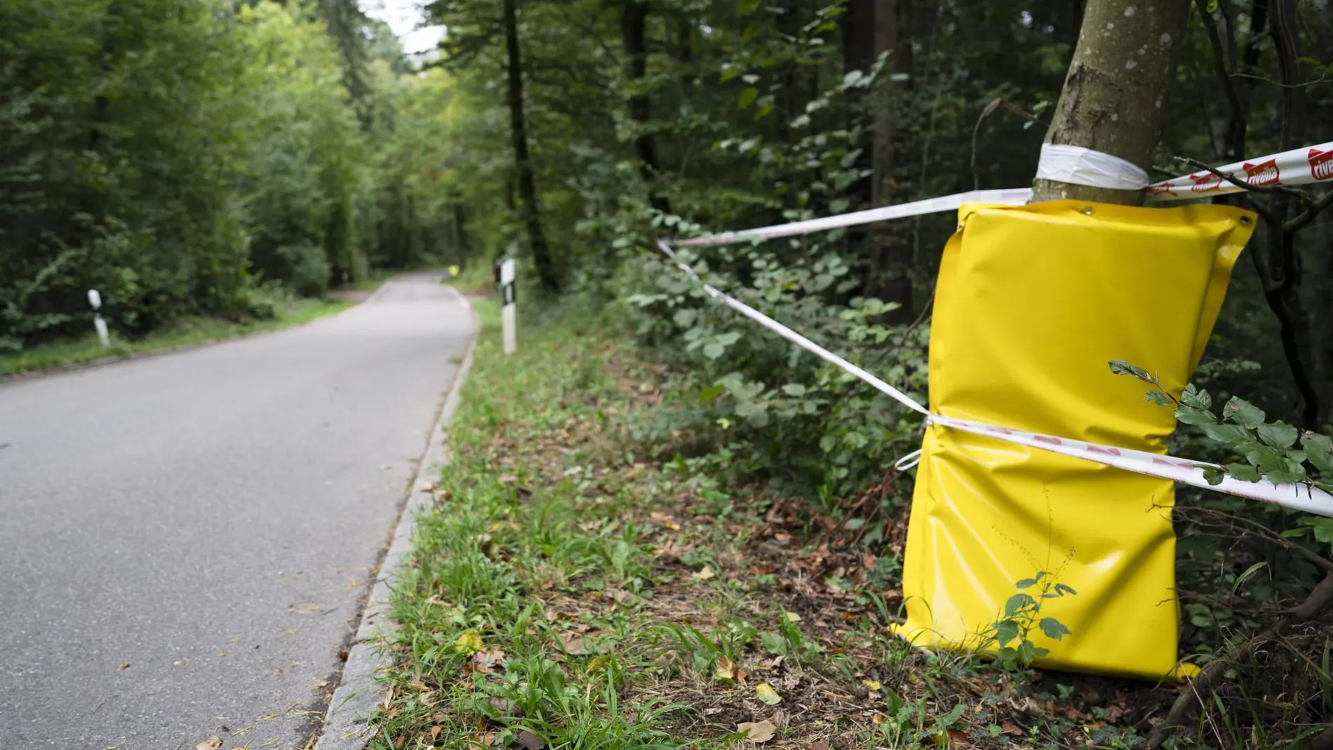 El lugar del accidente mortal de Muriel Furrer El lugar del accidente mortal de Muriel Furrer