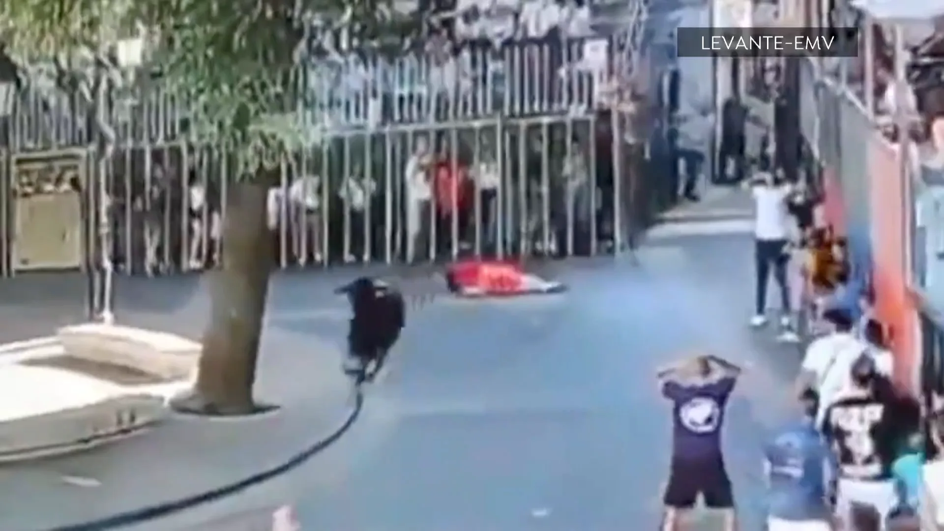 La mujer en el suelo tras ser arrollada por el toro La mujer en el suelo tras ser arrollada por el toro