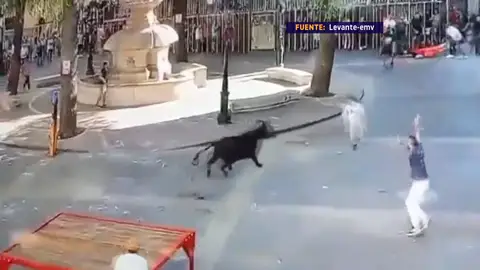 Mortal cornada en las fiestas de Enguera (Valencia): ¿faltan medidas de seguridad? Mortal cornada en las fiestas de Enguera (Valencia): ¿faltan medidas de seguridad?