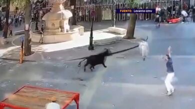 Mortal cornada en las fiestas de Enguera (Valencia): ¿falta seguridad en los festejos taurinos?