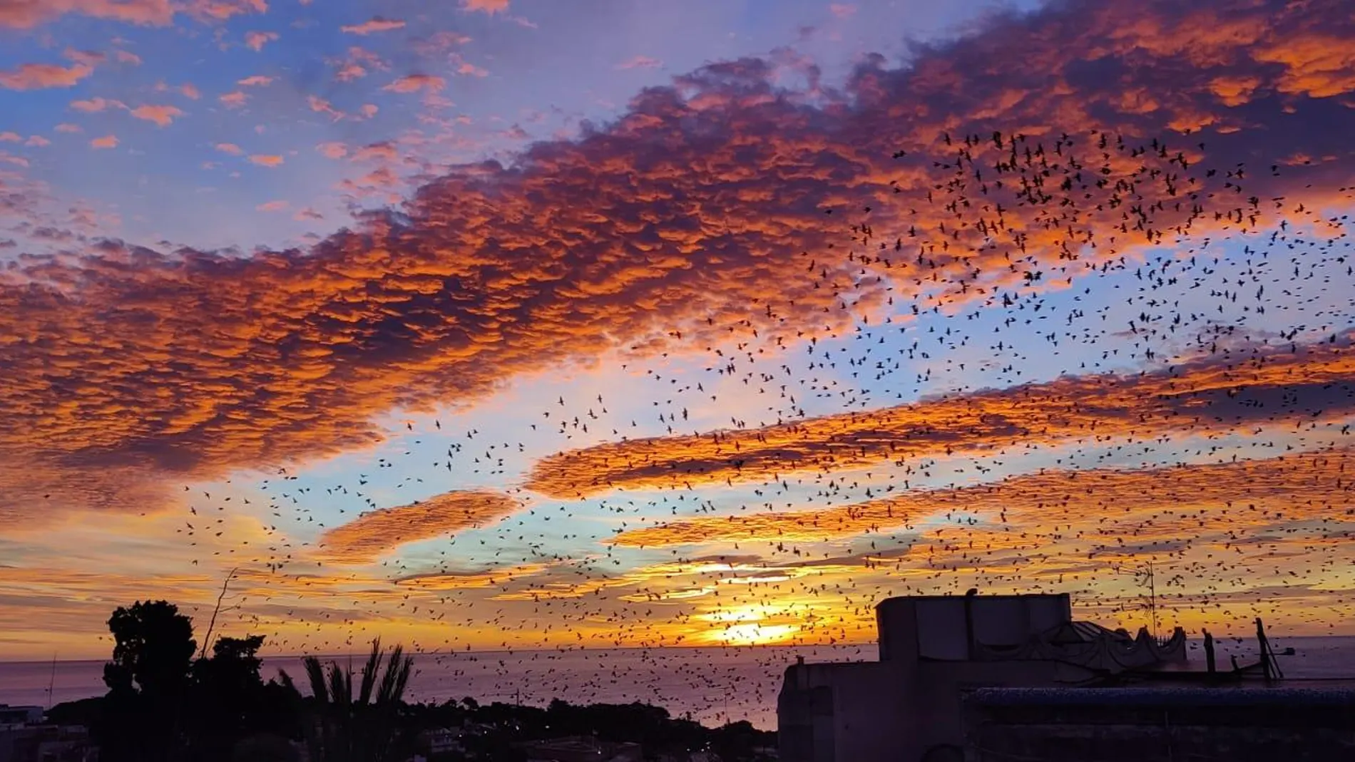 La imagen ganadora del tiempo de septiembre La imagen ganadora del tiempo de septiembre
