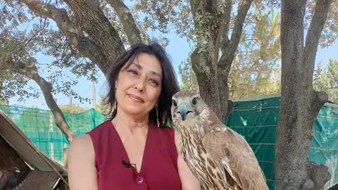 Silvia García, redactora de Antena 3 Noticias Silvia García, redactora de Antena 3 Noticias