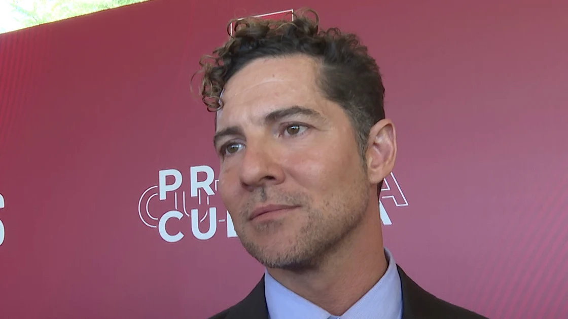 David Bisbal, premiado en Madrid