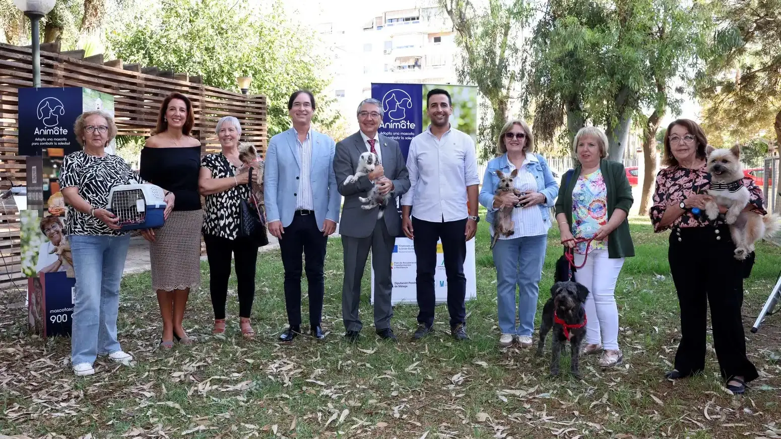 'Anímate', programa pionero que busca solucionar el abandono de animales 'Anímate', programa pionero que busca solucionar el abandono de animales