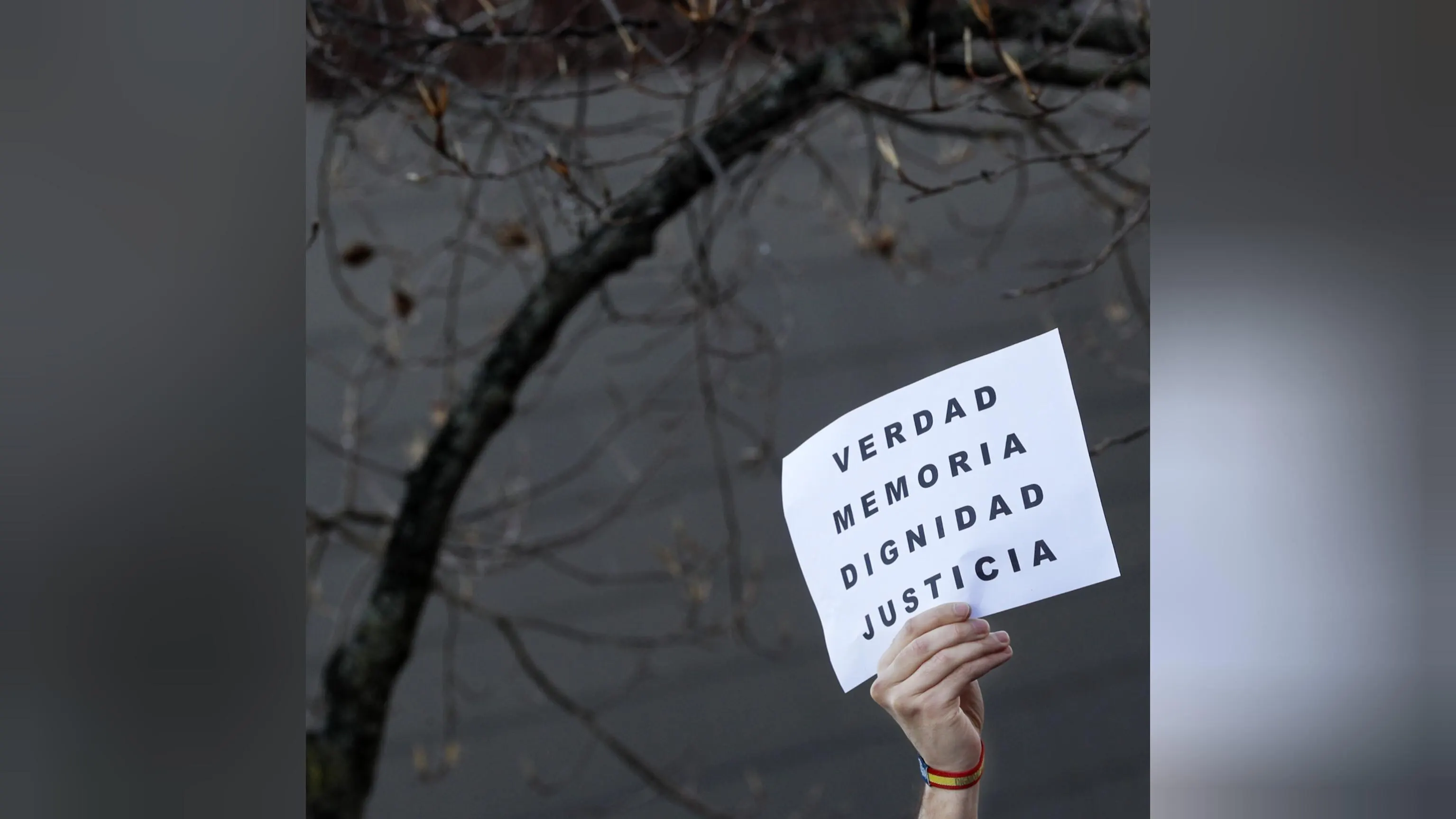 La Asociación Víctimas del Terrorismo pide al PP que tumbe en el Senado la reforma La Asociación Víctimas del Terrorismo pide al PP que tumbe en el Senado la reforma