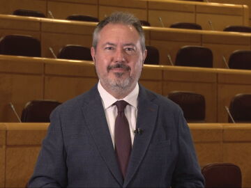 El secretario general del PSOE de Andaluc&iacute;a y portavoz del Grupo Socialista en el Senado, Juan Espadas