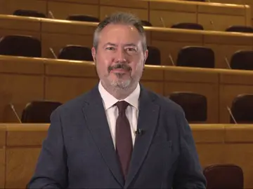 El secretario general del PSOE de Andalucía y portavoz del Grupo Socialista en el Senado, Juan Espadas El secretario general del PSOE de Andalucía y portavoz del Grupo Socialista en el Senado, Juan Espadas