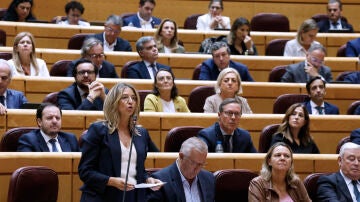 La portavoz popular en el Senado, Alicia García