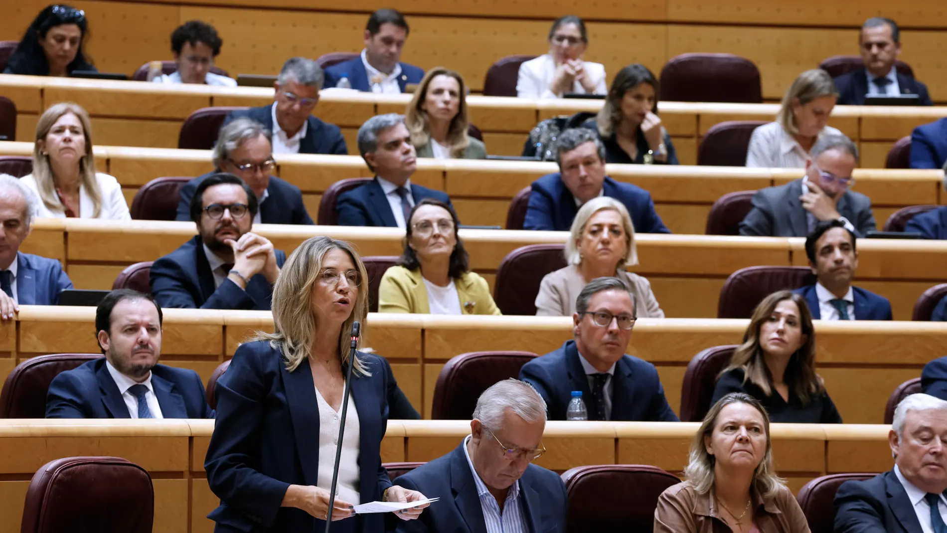 Bancada popular en el Senado Bancada popular en el Senado