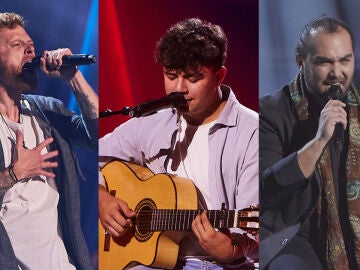 Superventas, leyendas de la m&uacute;sica o youtubers: estos son los talents de La Voz con familiares famosos