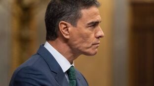 Pedro S&aacute;nchez