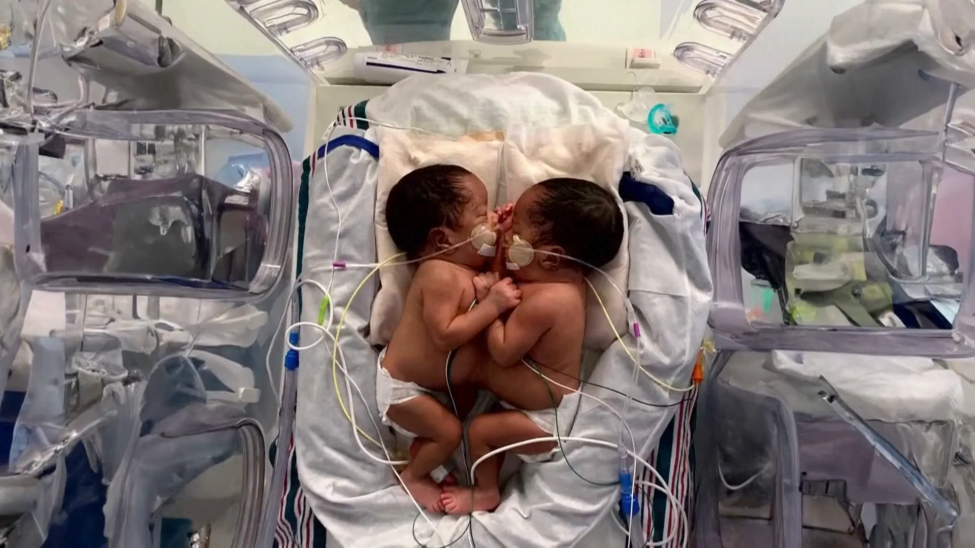 Imagen de los beb&eacute;s
