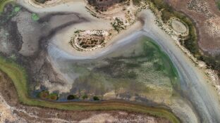 La laguna de Santa Olalla en Do&ntilde;ana se seca
