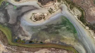 La laguna de Santa Olalla en Doñana se seca La laguna de Santa Olalla en Doñana se seca