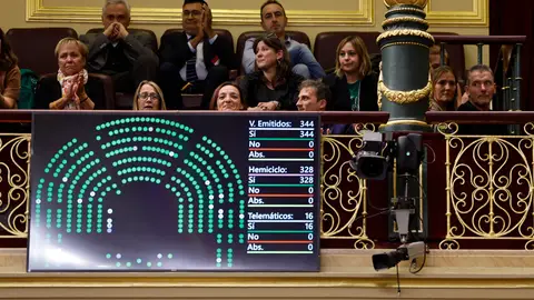 El congreso aprueba por unanimidad la ley ELA El congreso aprueba por unanimidad la ley ELA