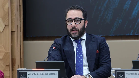 El empresario Víctor de Aldama El empresario Víctor de Aldama