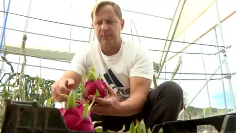 La exitosa idea de un agricultor valenciano para dar salida a sus productos sin intermediarios La exitosa idea de un agricultor valenciano para dar salida a sus productos sin intermediarios: "Un precio justo"