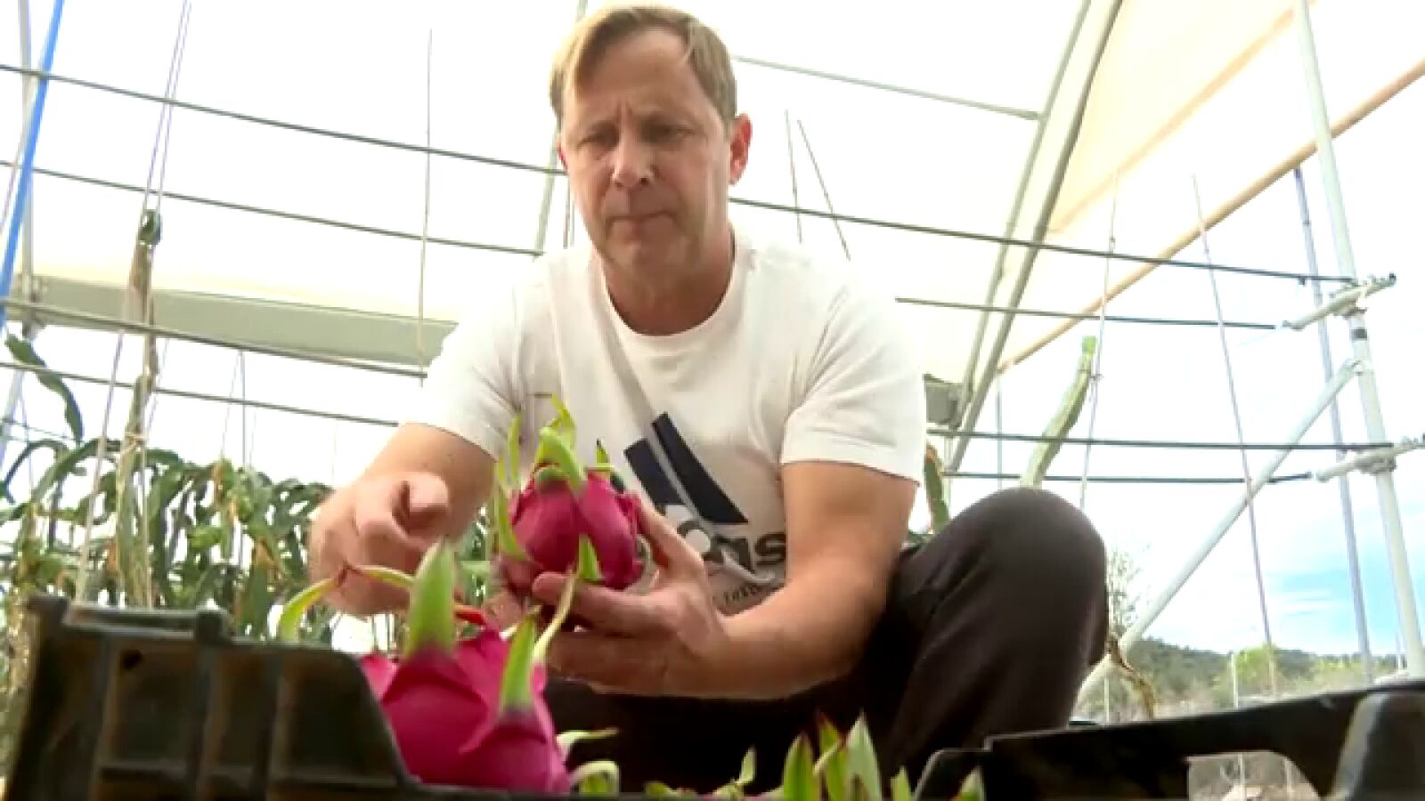 La exitosa idea de un agricultor valenciano para dar salida a sus productos sin intermediarios: 