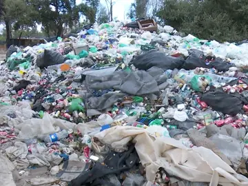 El vertedero de Doñana. El vertedero de Doñana.