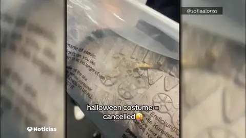 Compra ropa por internet y le llega con un escorpión venenoso vivo dentro del paquete: "Su picadura es mortal" Compra ropa por internet y le llega con un escorpión venenoso vivo dentro del paquete: "Su picadura es mortal"