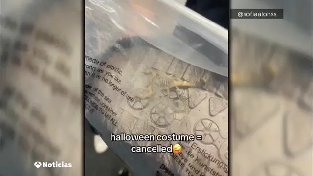 Compra ropa por internet y le llega con un escorpi&oacute;n venenoso vivo dentro del paquete: "Su picadura es mortal"