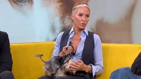 Ir a trabajar con la mascota. Ir a trabajar con la mascota.