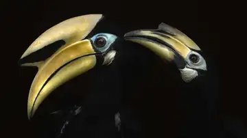 Fotografía de Antonio Liébana, finalista del Wildlife Photographer of the year Fotografía de Antonio Liébana, finalista del Wildlife Photographer of the year