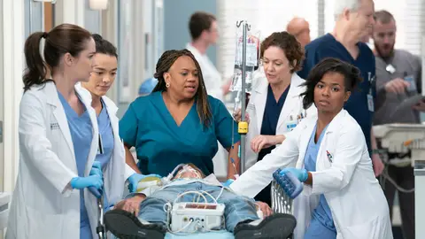 Anatomía de Grey, temporada 21 Anatomía de Grey, temporada 21