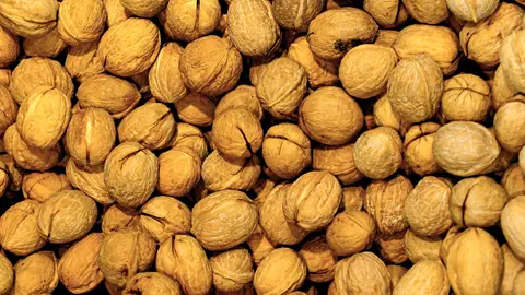 Nueces Nueces