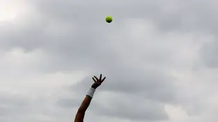 Pelota de tenis Pelota de tenis