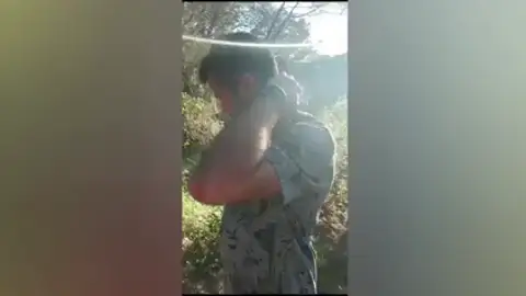 Un esqueleto de apariencia humana encerrado en un caja de madera “Vi el torso de un cuerpo”: El descubrimiento macabro de una pareja que fue a recoger setas