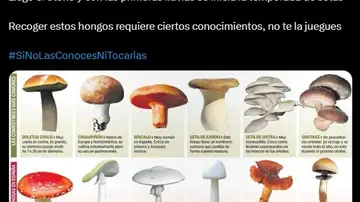 Comunicado X Guardia Civil Comunicado X Guardia Civil