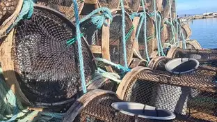 Bateas Bateas