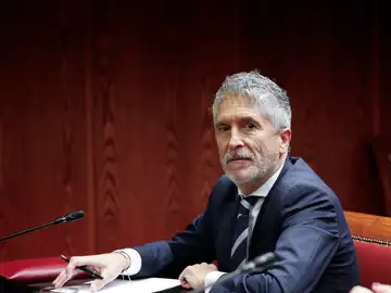 El ministro del Interior, Fernando Grande-Marlaska El ministro del Interior, Fernando Grande-Marlaska