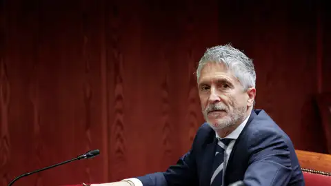 El ministro del Interior, Fernando Grande-Marlaska El ministro del Interior, Fernando Grande-Marlaska