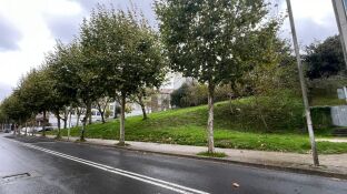 La zona donde se construir&aacute;n las viviendas