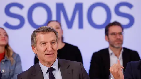 Feijóo ha vuelto a pedir la dimisión al presidente del Gobierno Feijóo ha vuelto a pedir la dimisión al presidente del Gobierno