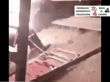 Un bou embolat quema a un espectador Un bou embolat quema a un espectador