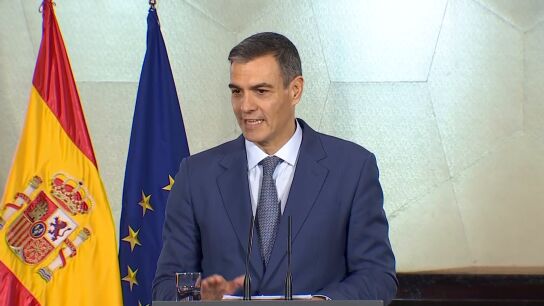 Pedro S&aacute;nchez