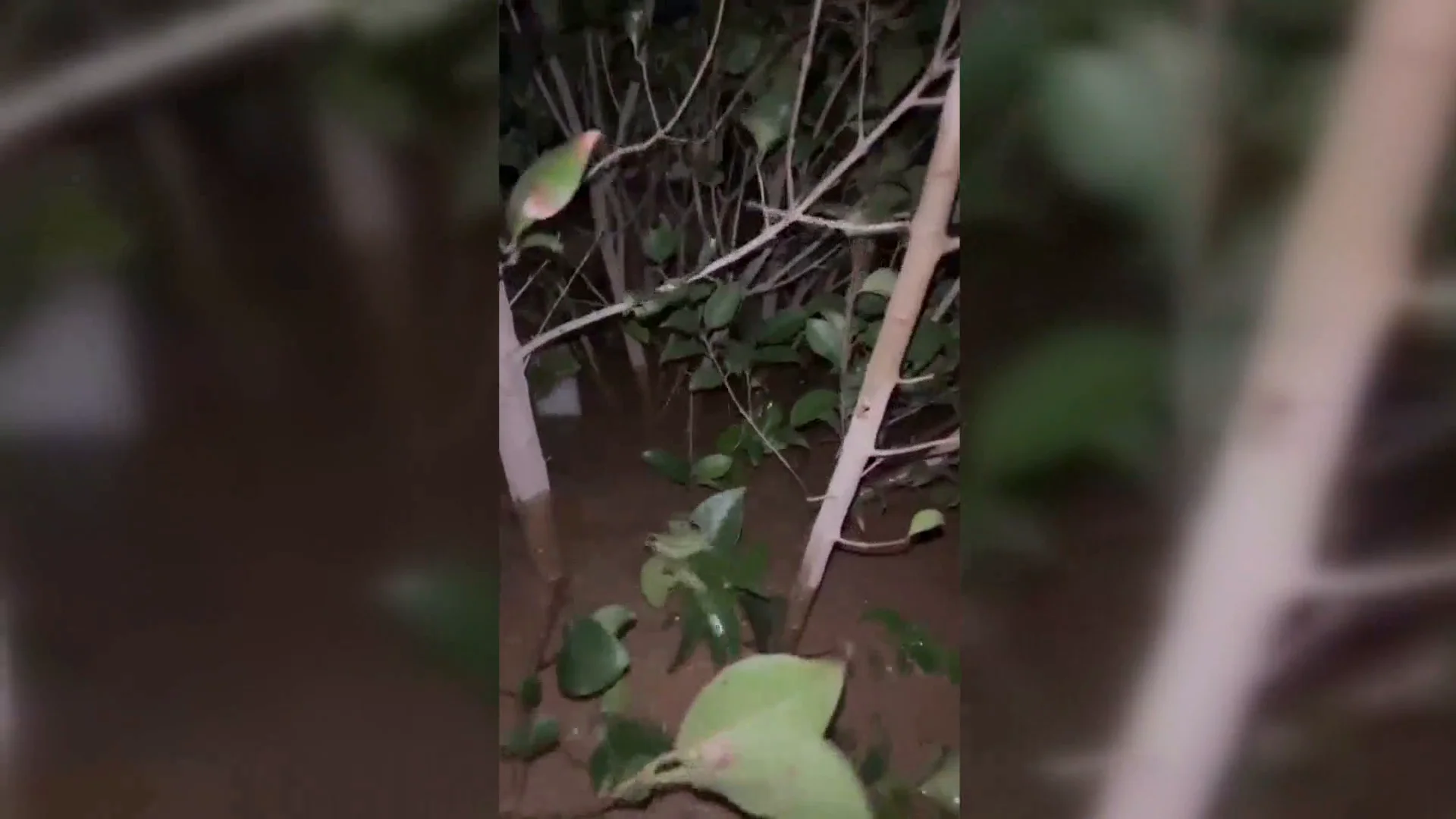 Atrapada por la DANA