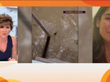 Video viral