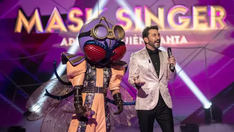 Moscas, pistas Moscas, pistas