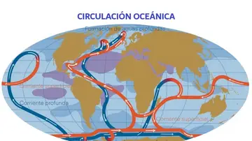 Circulación oceánica Circulación oceánica
