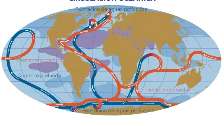 Circulación oceánica Circulación oceánica